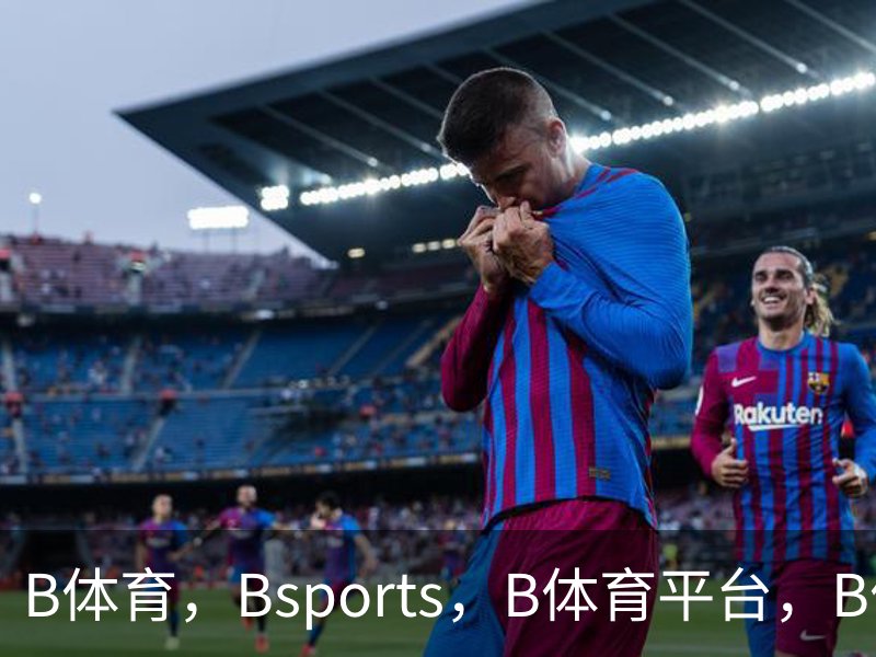 B体育，Bsports，B体育平台，B体育下载概况